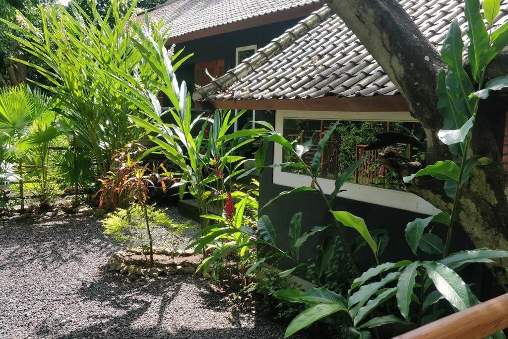 Villa King: Unique Villa With Indoor Swimming Pool Amed Exterior foto